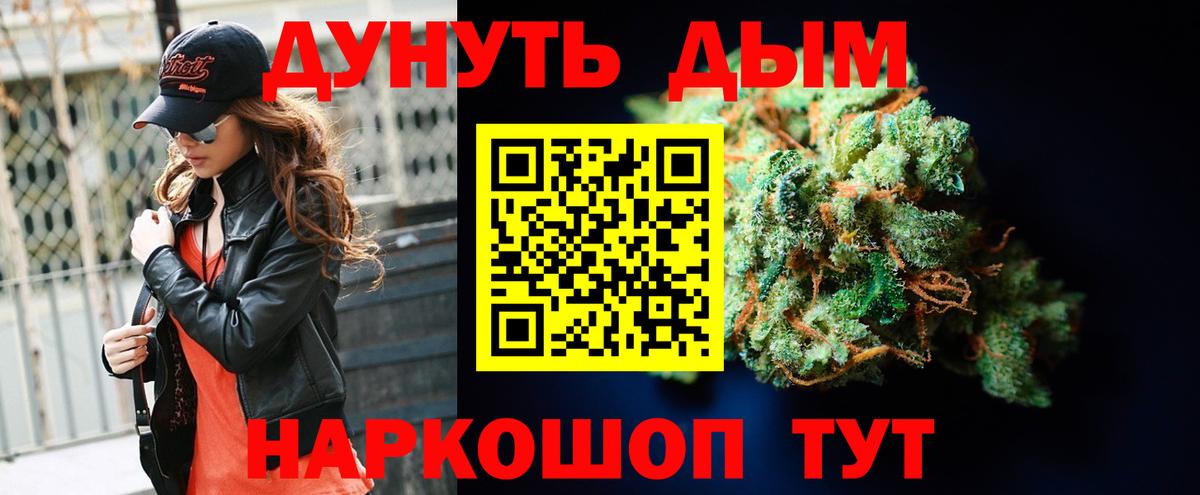 Конопля сатива Сатка
